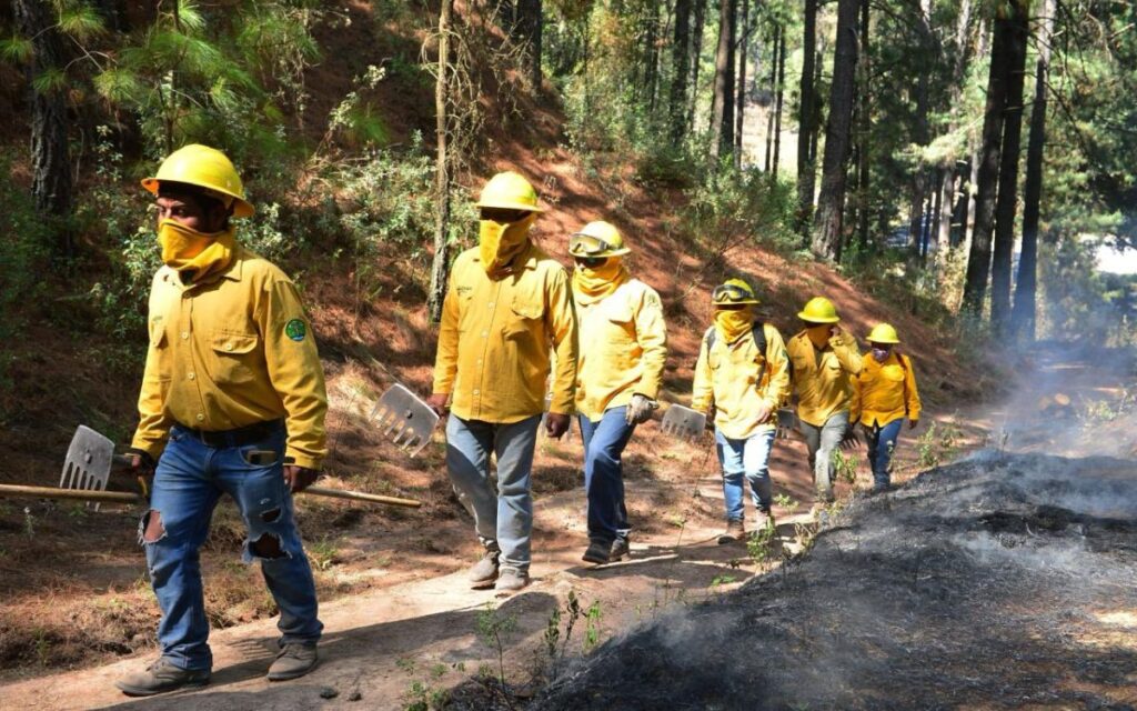 Edomex: autoridades recomiendan a ciudadanos usar cubrebocas debido a los incendios forestales