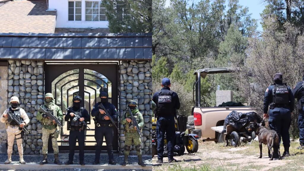 Registran residencia de presuntos criminales con tigres de Bengala y otros animales exóticos en Tecate, Baja California