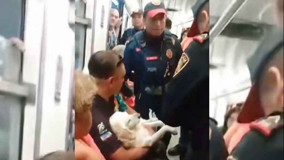 Escandaloso incidente de hombre sacado del Metro con su perro herido causa consternación