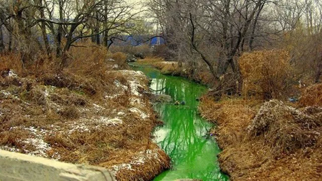Rusia: las aguas de un río se tiñen de un extraño verde