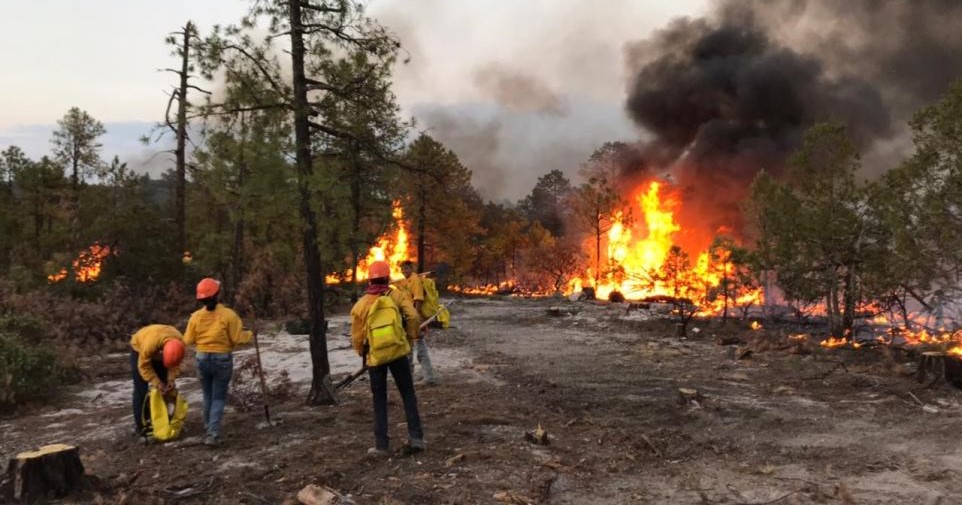 Se unen 150 brigadistas a combatir incendios forestales en Chihuahua