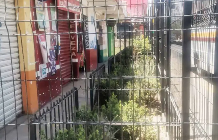 Vecinos presentan queja contra una residente que obstruyó la acera frente a sus negocios en Oaxaca