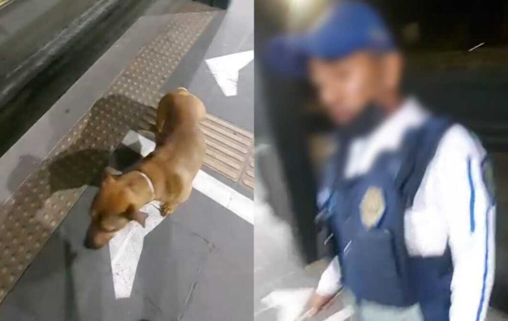 VIDEO: Policía golpea con un palo a un perro en Metrobús de CDMX