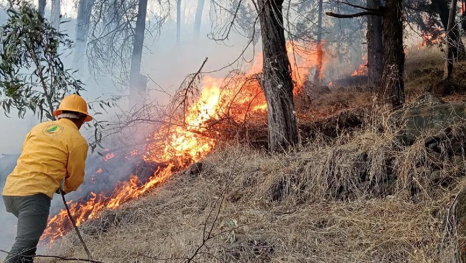 Brigada de Toluca ha logrado extinguir 40 incendios forestales