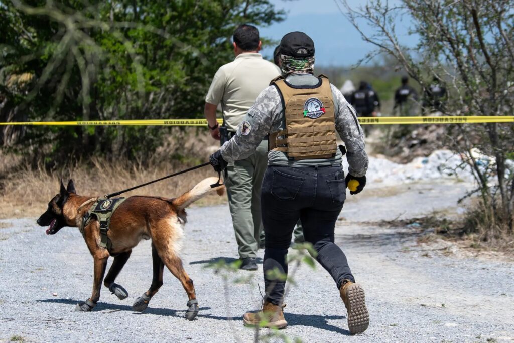 Identifican cuarto cuerpo de los 13 hallados en Pesquería, NL