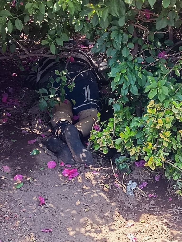 Encuentran cuerpo de un hombre en jardineras del Zócalo capitalino