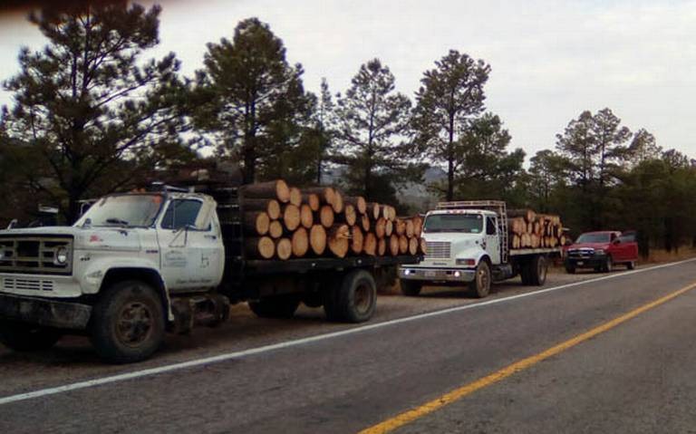 Cayó un trozo de madera sobre su cabeza y lo mató