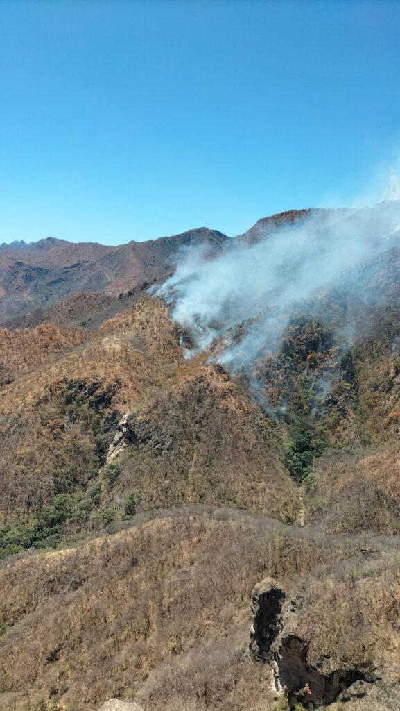 Incendio forestal en El Baluarte dejó dos heridos