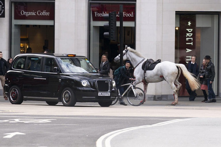 Varios caballos del Ejército británico siembran el caos en el centro de Londres y dejan cuatro heridos