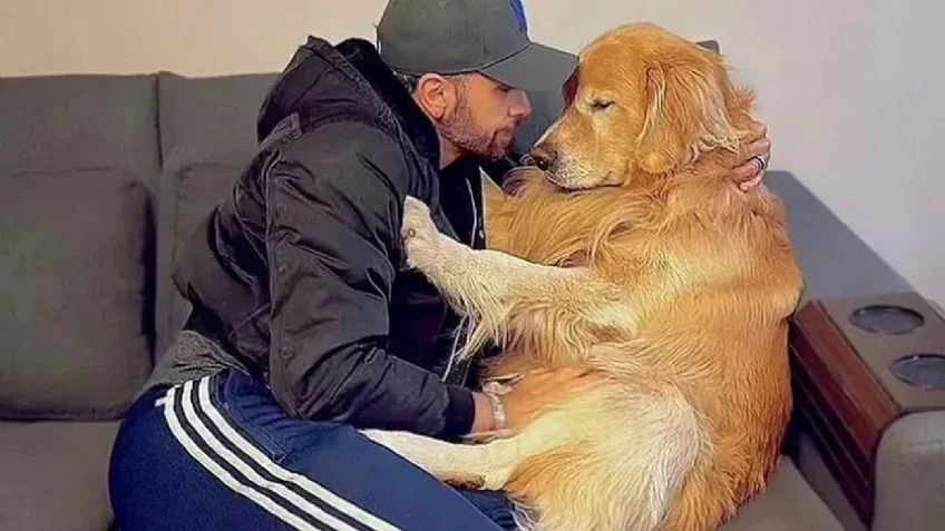 El imperdonable error de una aerolínea que ocasionó la muerte de un perro