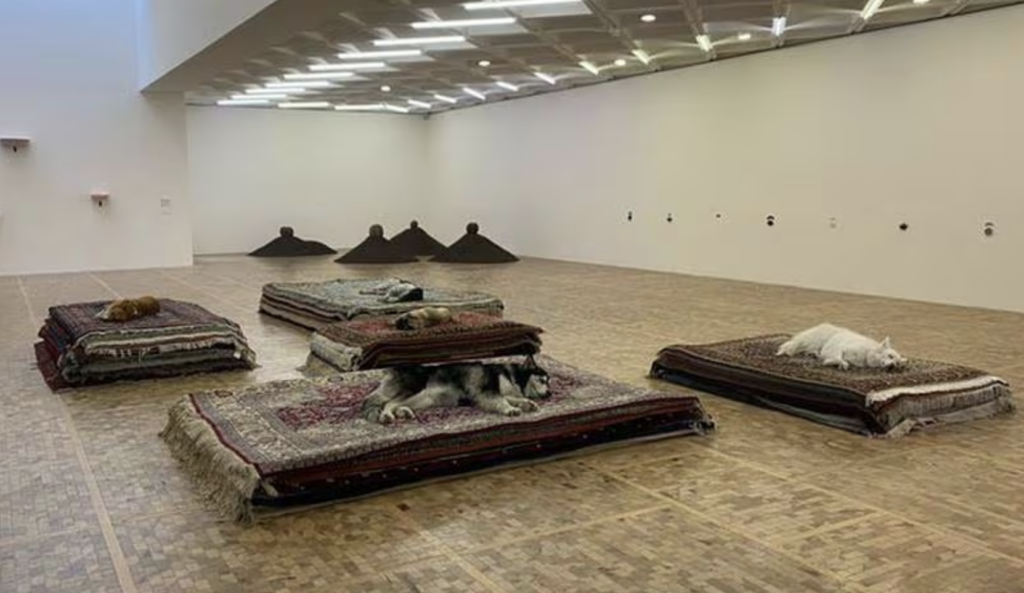 Polémica en el Museo Tamayo: Martí Batres alza la voz contra posible maltrato animal en exhibición ‘Casts’