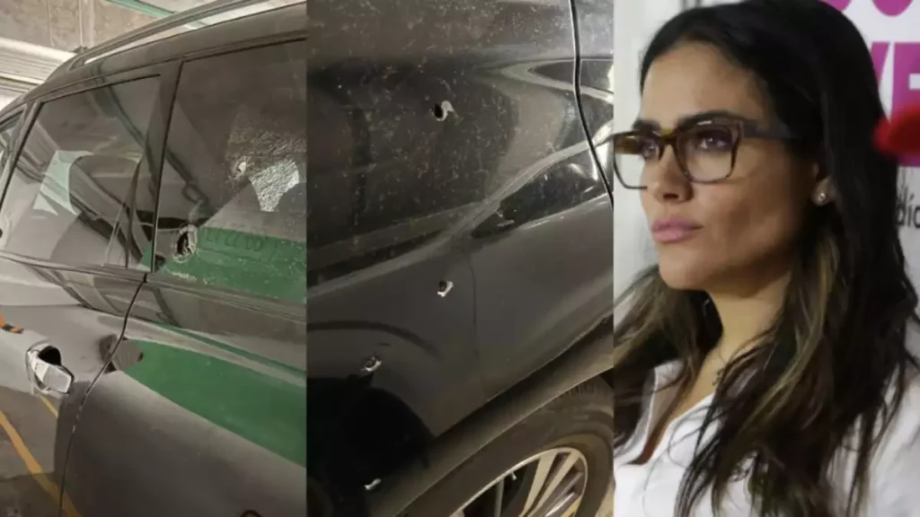 Detienen a presunto responsable del atentado contra Alessandra Rojo de la Vega