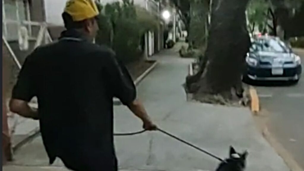 Hombre golpea y da latigazos a perro en calles de la alcaldía Benito Juárez