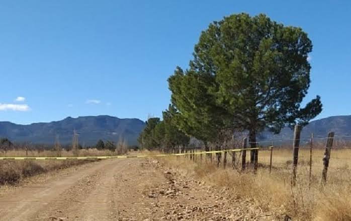 Lo asesinan con una puñalada en la cabeza; ya fue identificado