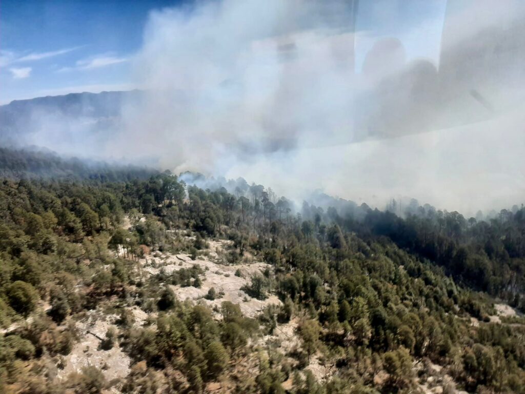 Logran controlar al 70% los dos grandes incendios forestales de la sierra de San Dimas: SRNMA