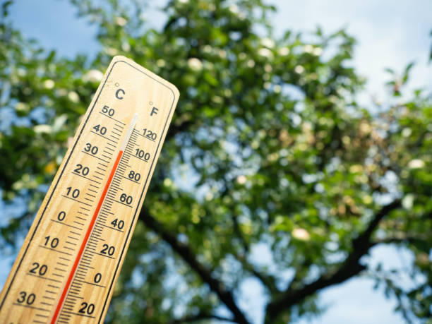 México enfrenta la llegada de la cuarta ola de calor