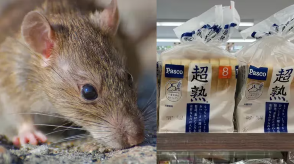 Encuentran restos de un ratón en pan blanco japonés