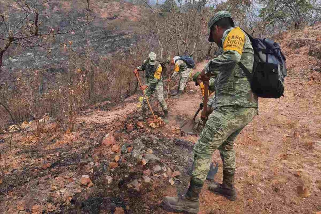 Acapulco y Chilpancingo enfrentan cierre de escuelas mientras Guerrero lucha contra incendios forestales