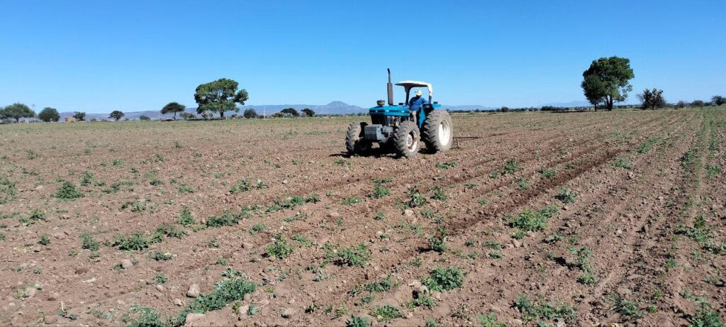 Campesinos preparan sus tierras y piden semilla de frijol; “los vamos a apoyar”: SAGDR