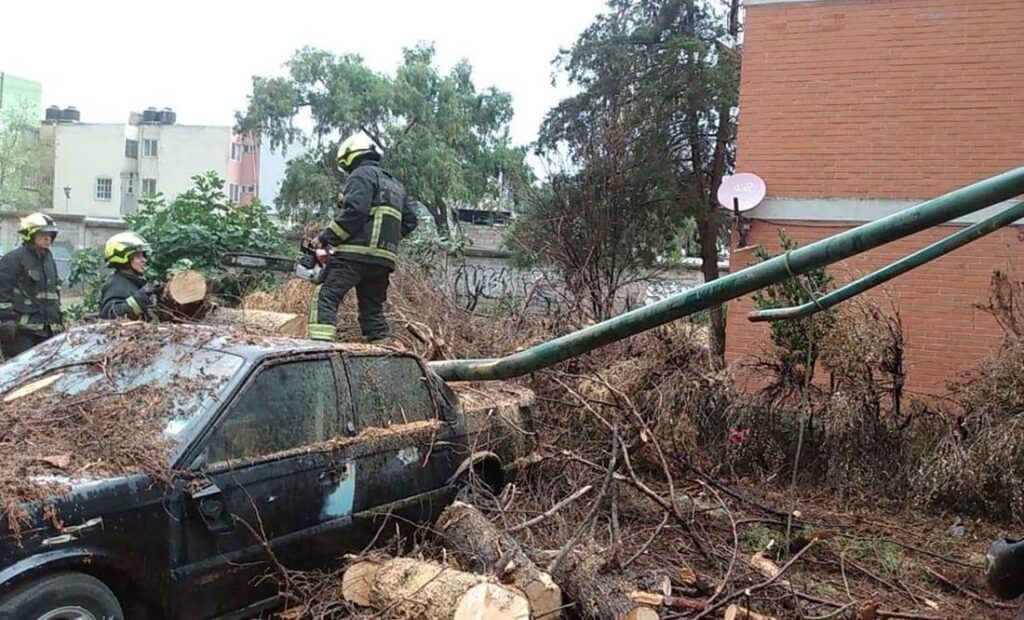 ¡Sustote! Lluvia tumba árboles en unidad habitacional del Edomex