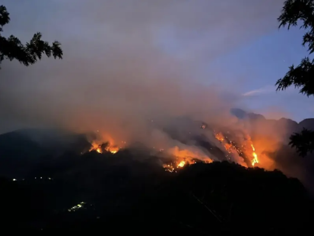 Emergencia en Veracruz: 17 incendios forestales desatan protestas ciudadanas