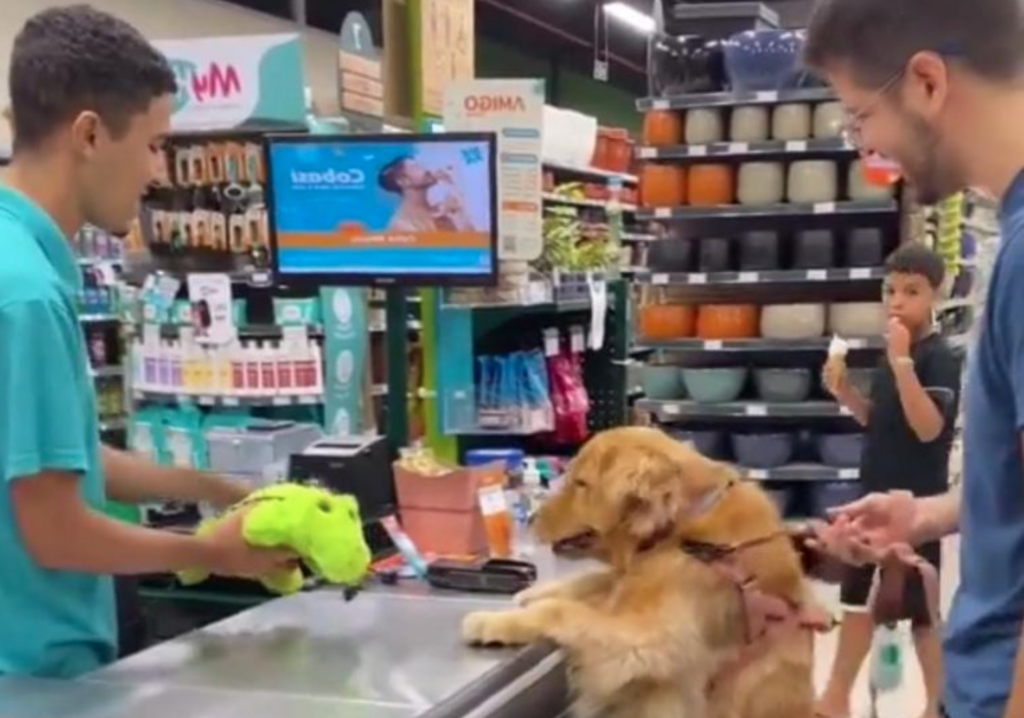 Perrito emocionado por su nuevo peluche se vuelve viral al demostrar su alegría