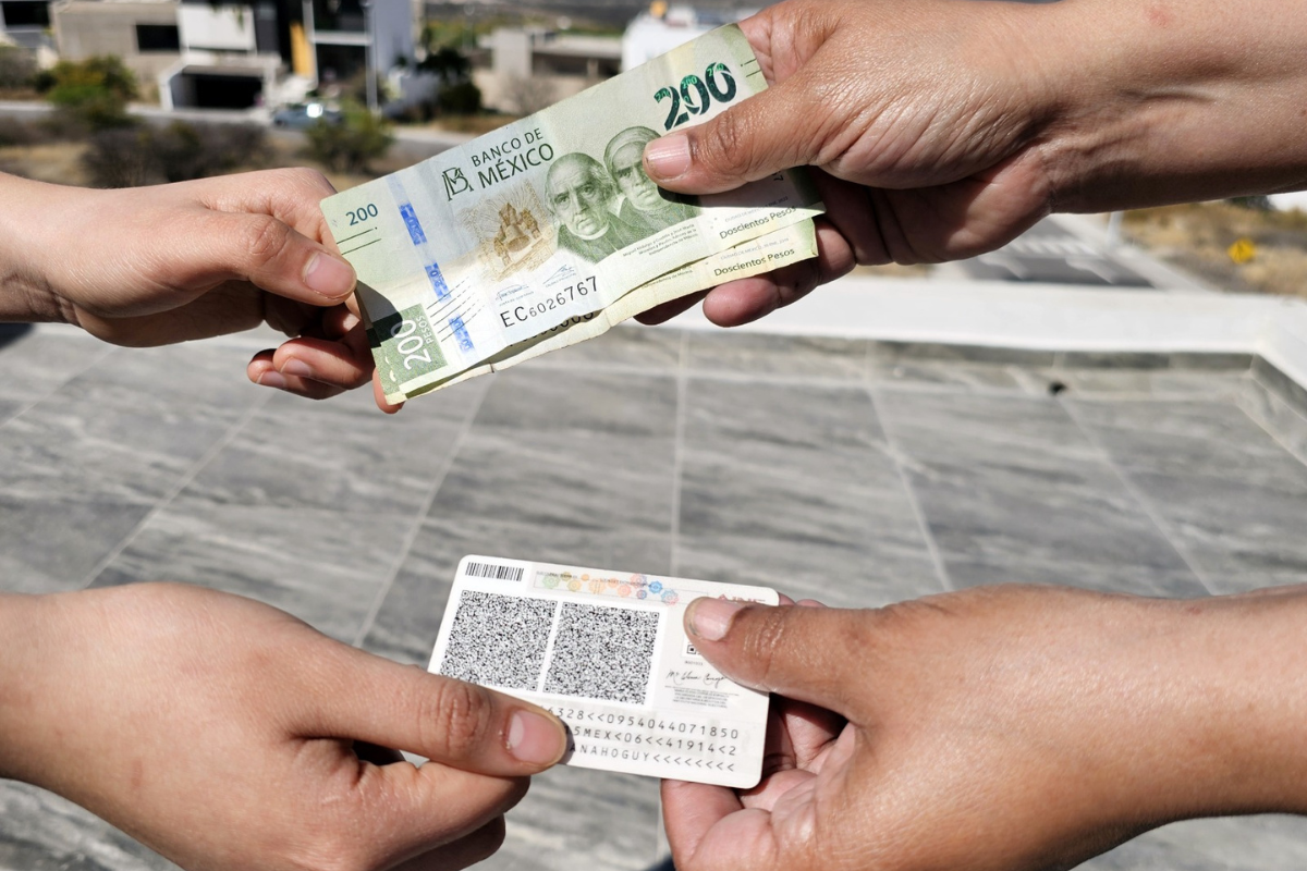 Descubre cómo puedes denunciar delitos electorales: compra de voto o ...