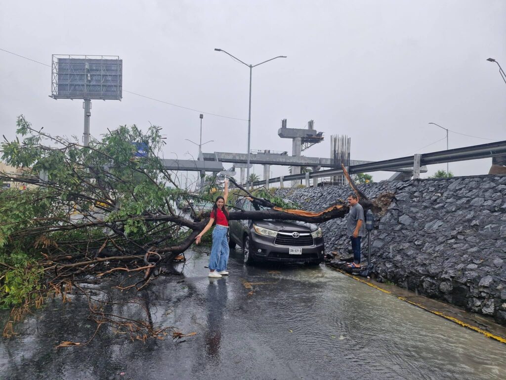 Cae árbol sobre su camioneta y ella sonríe para la foto