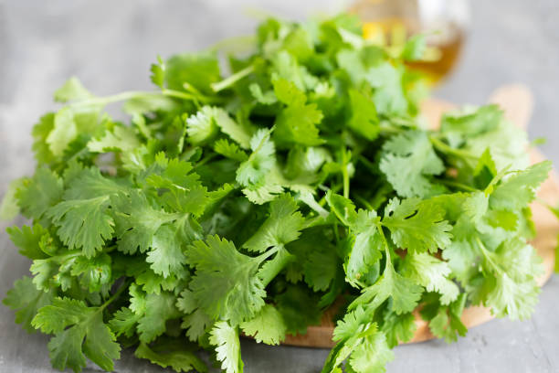 Crisis del Cilantro: Precios alcanzan los 700 pesos por manojo