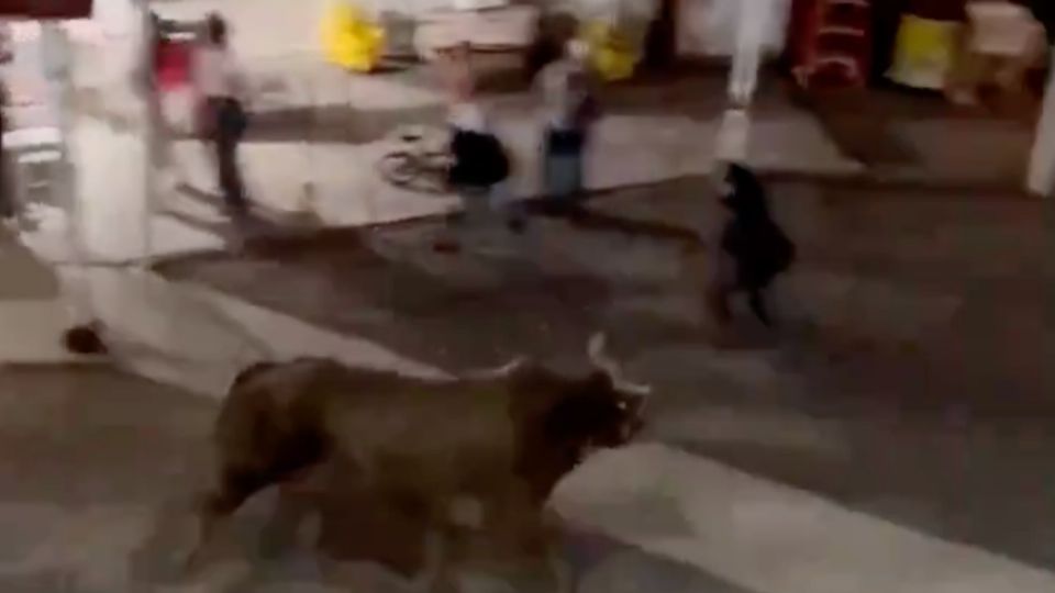 Un toro arremete contra varias personas después de saltar una cerca en un rodeo en Oregón, Estados Unidos