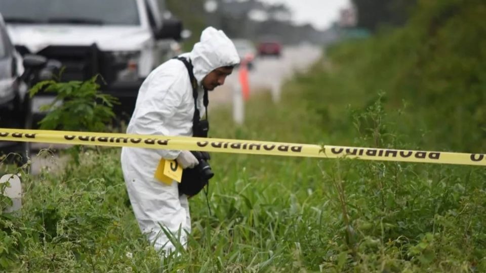 Localizan 4 cuerpos en una brecha en Lagos de Moreno, Jalisco