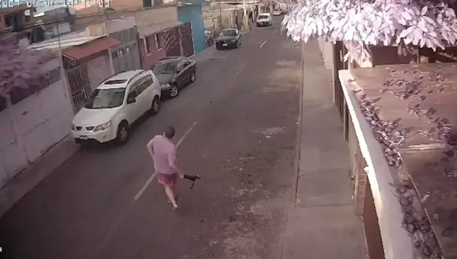 Hombre lanza a un gatito al cableado de luz en Querétaro
