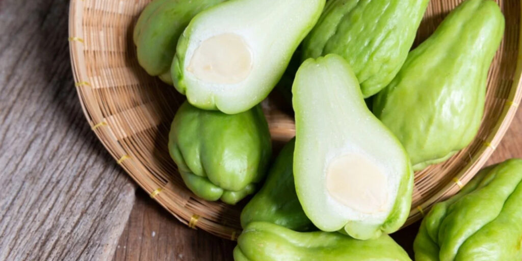 Precio del chayote llega hasta los 150 pesos por kilo