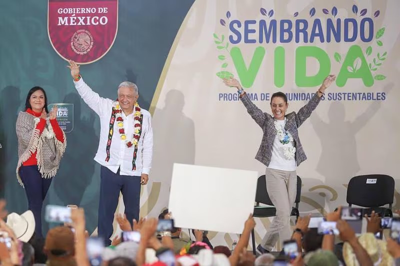 El campo es parte de la transformación: 442 mil personas reciben Sembrando Vida