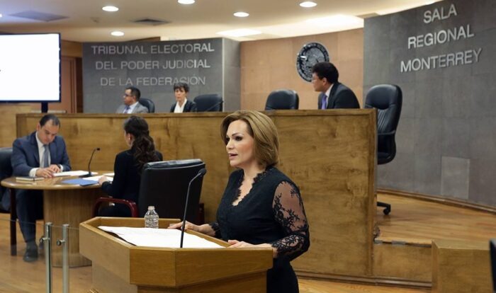 Tribunal Electoral elige a Claudia Valle como sexta magistrada para calificar elección presidencial