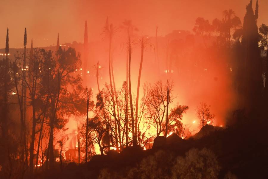 Incendios forestales y olas de calor causan estragos en oeste de Estados Unidos