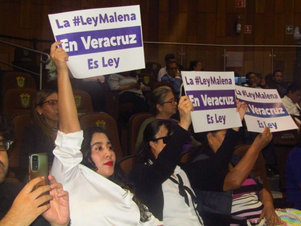Veracruz aprueba la “Ley Malena” para castigar la violencia ácida