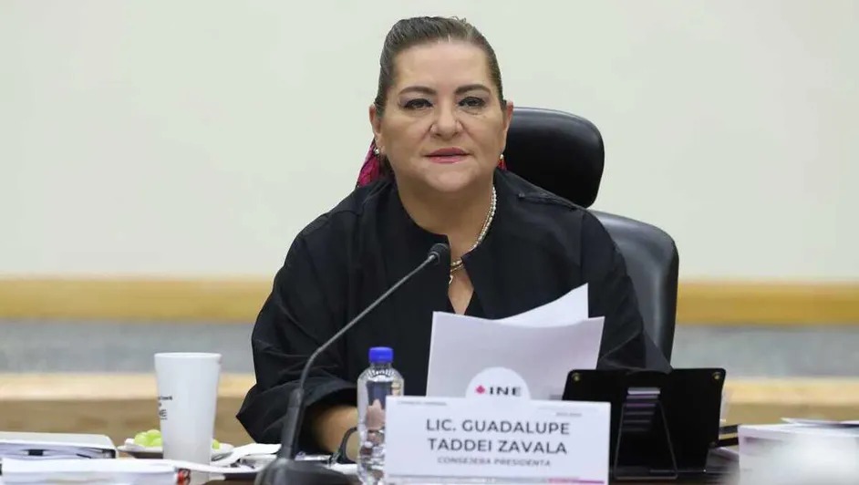 Guadalupe Taddei a favor de asignar plurinominales como establece la Constitución