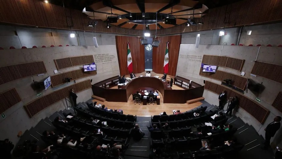 Tribunal Electoral designa las primeras 160 impugnaciones contra el Plan C