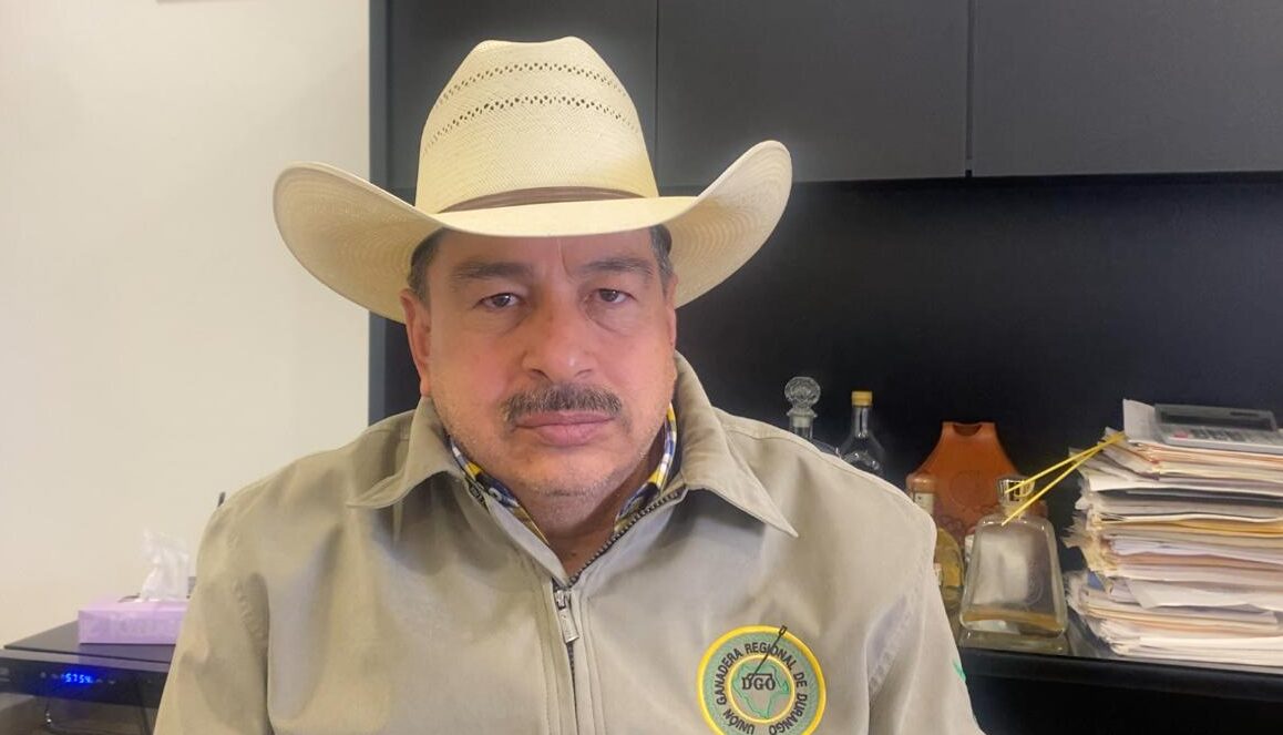 Exportadores de ganado sufren pérdidas incalculables: UGRD; EUA no ha ...