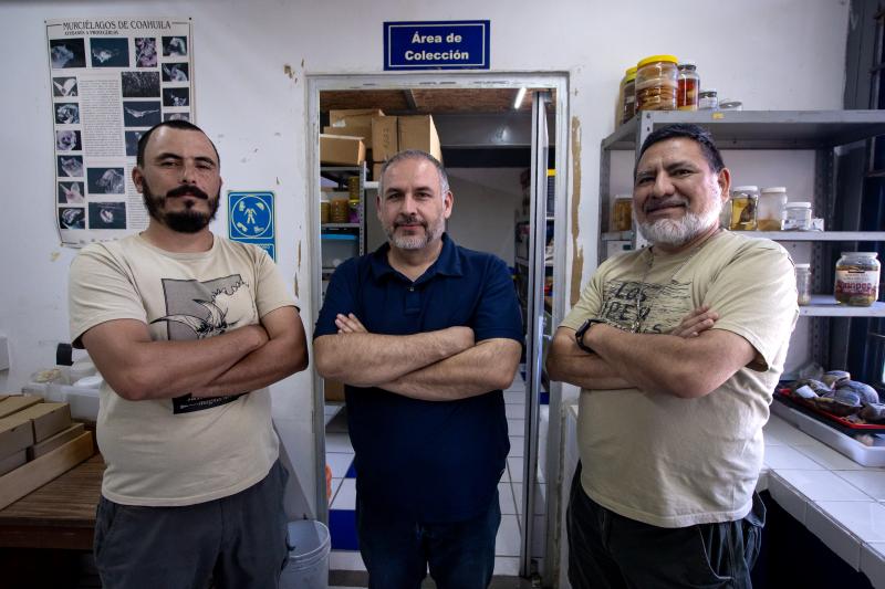 Descubren fósiles de insectos y arácnidos en la Sierra de Tesistán