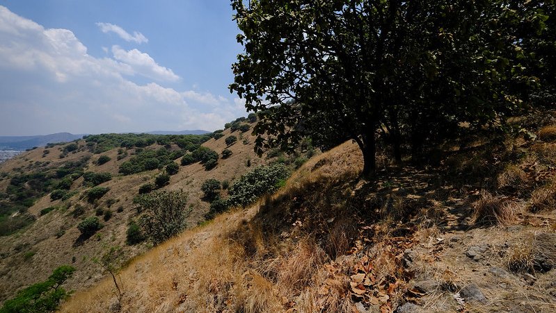 Jalisco avanza en la declaratoria del Cerro El Tajo como Área Estatal de Protección Hidrológica