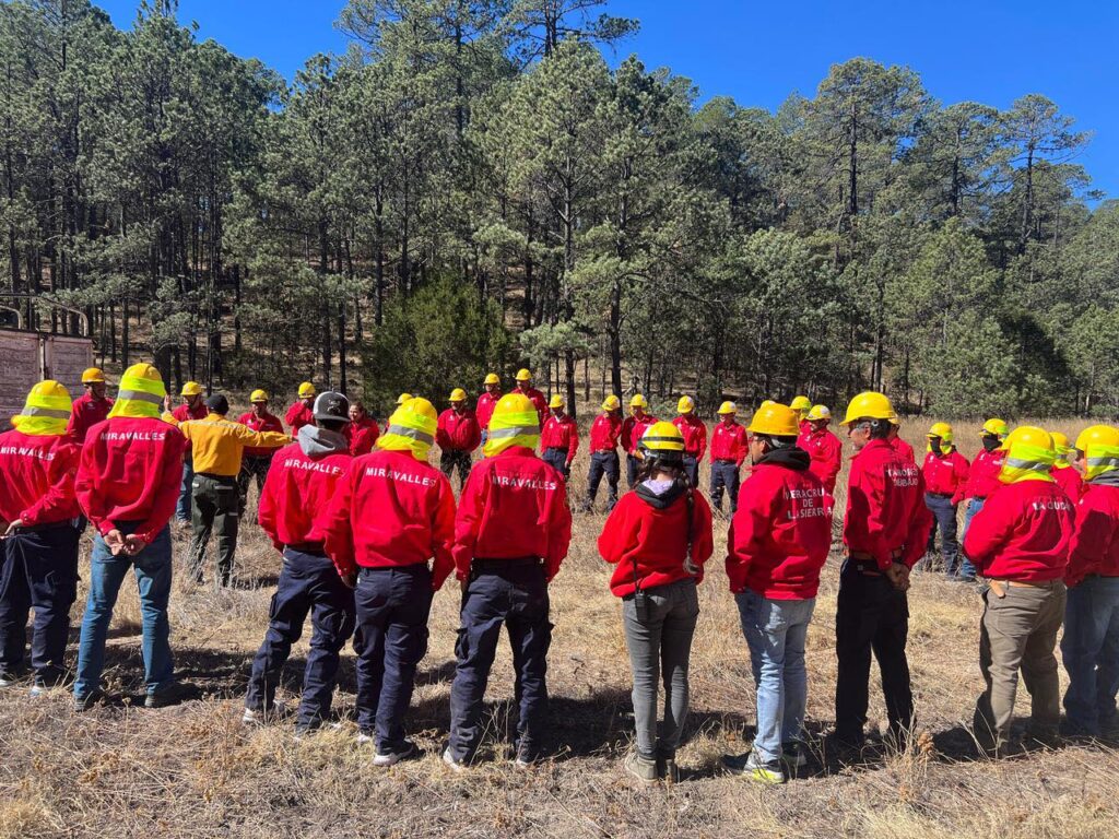 Incendios forestales, un año crítico para Durango este 2025, alerta diputado Héctor Herrera
