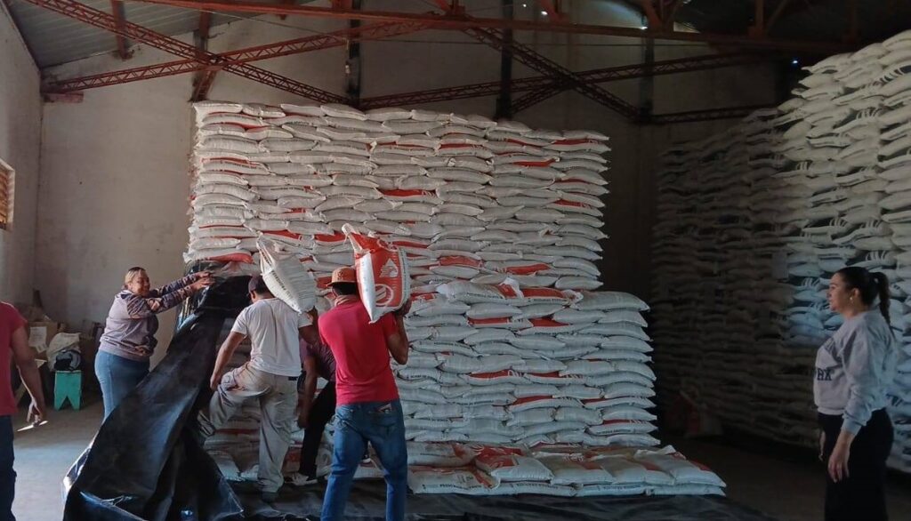 Inicia entrega de fertilizante gratuito a 40 mil campesinos de Durango: Sader