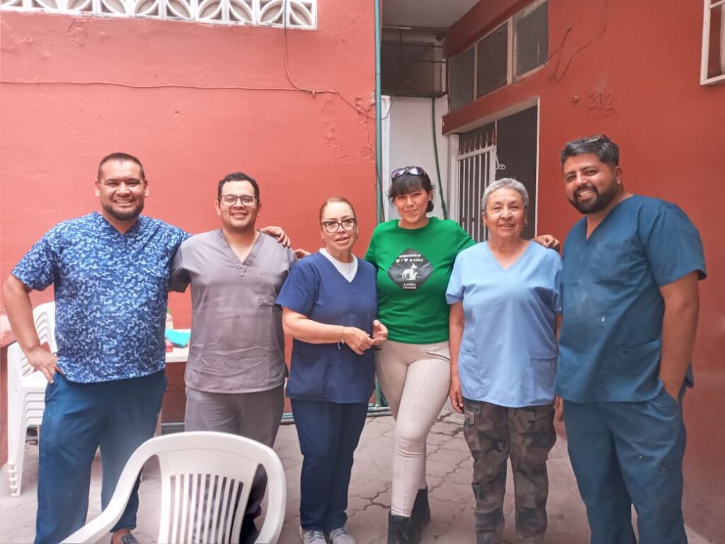 Esterilizan 50 perritos callejeros en un solo día en Santiago Papasquiaro