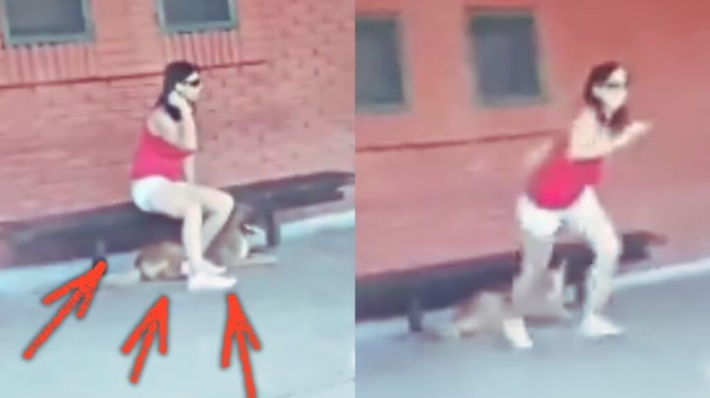 VIDEO: “¡Basura humana!”: mujer provoca indignación al abandonar a su perrito en estación de tren