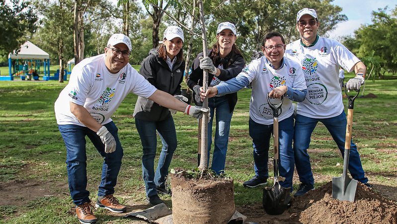 Reforestan Parque Metropolitano  con 180 árboles nativos