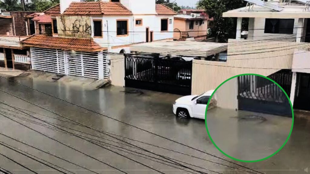 VIDEO: Tras las intensas lluvias, cocodrilos tomaron las calles en Ciudad Madero, Tamaulipas