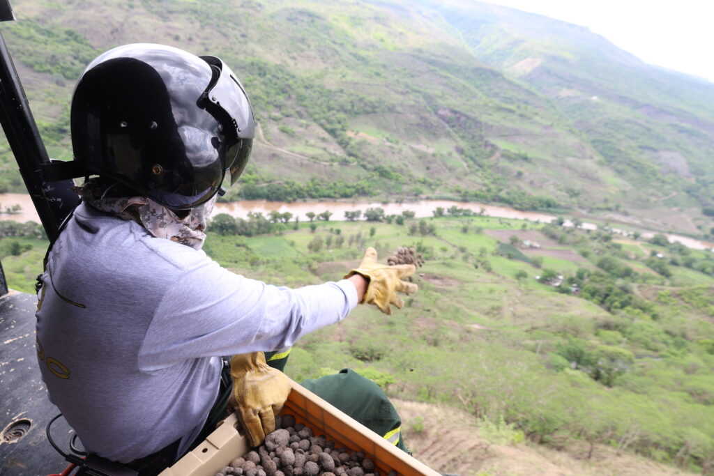 Lanza Zapopan 20 mil bombas de semilla para reforestar zonas afectadas por incendios