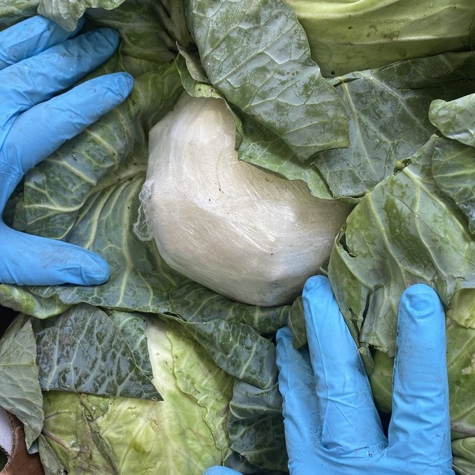 Decomisan más de una tonelada de Metanfetaminas dentro de coles